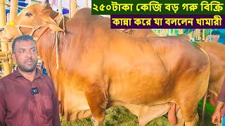 ২৫০টাকা কেজি বড় গরু বিক্রি কান্না করে যা বললেন প্রান্তিক খামারীরা dairy farm