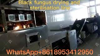 Black fungus drying and sterilisation line