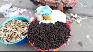 The Salvation Army reintroducing edible caterpillars - Bond Innovation Award 2019 submission