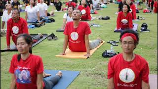 Glimpse of the 4th Curtain Raiser of the International Day of Yoga 2023 at Taman Bung Karno, Tabanan