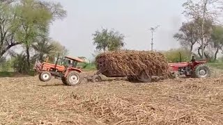 well done powerful Fiat 470 tractor to rescue Messi 385 tractor from sugarcane filled trailer