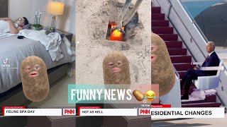 Potato News Network Funny news😂🥔