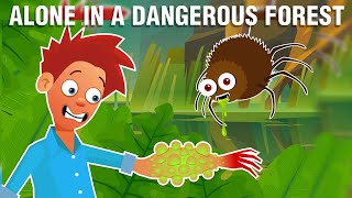 Alone In A Dangerous Rain Forest #sillysam #facts #trending