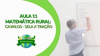 Aula 11 Matemática Rural: Cavalos (Equinos) - Sela x Tração