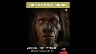 Evolution of Birds in hindi | #shortsyoutube #evolution #shorts