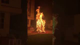 Holika dahan 2023 #holi #holidahan #gulaal #holi2023 #shorts #reels #trending