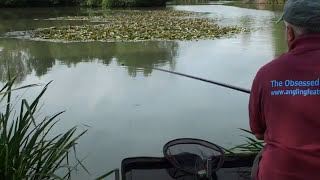 Crucians Galore #cruciancarp #buryhillfishery #fishing #polefishing