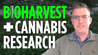 COVID Reveals a Boost in Cannabis Research + Viewer Response