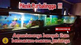 Piknik ke Purbalingga. Lihat aquarium yang ikannya bermacam-macam. Terbaru 2022.