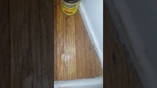 Minwax stain color test on hardwood floors