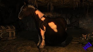 Skyrim Devourment - Horse The Bounty Hunter