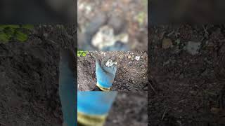 #shorts 1920's Toy Cars stuck out a cliff! 😱🤙 | Bottle Digging | Mudlarking