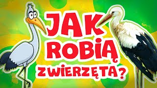 Jak robią zwierzęta? Odgłosy zwierząt || Bajki dla dzieci po polsku