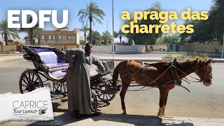 Edfu - Sul do Egito. A PRAGA DAS CHARRETES (parte 1)