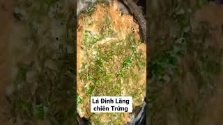 Lá Đinh Lăng chiên trứng - món ngon tốt cho sức khỏe bạn đã thử chưa? #food #trendingshorts