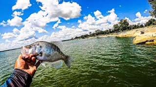 When the bass ain't biting go for crappie.. video from 2021