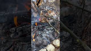 Лесная кухня. Цыпленок на огне / #bushcraft  #outdoor