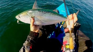 Kayak False Albacore Run and Gun