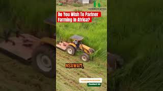 HowTo Become A Partner of Farming In Africa #semanhyiafarms #farminginafrica