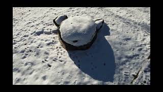 Dojo Maharishi Sathyananda sotto la neve