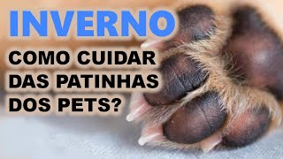 Dica pet: COMO CUIDAR DAS PATAS DOS PETS NO FRIO?