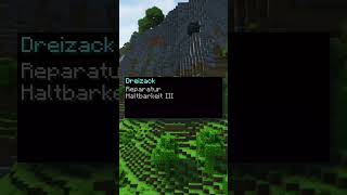 OP Dreizack ? 😨 #minecraft #survival #dreizack