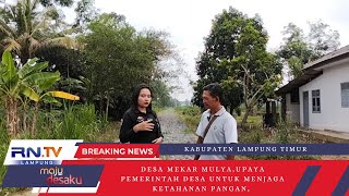 DESA MEKAR MULYA,UPAYA PEMERINTAH DESA UNTUK MENJAGA KETAHANAN PANGAN.