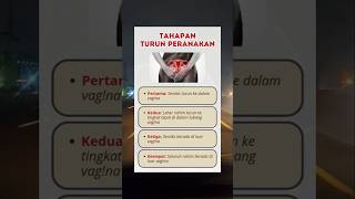 TAHAPAN TURUN PERANAKAN