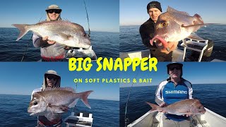 Floating down lightly weighted soft plastics & baits for big Snapper!