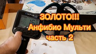 ЗОЛОТО !!! Nokta Makro Anfibio Multi GOLD !!! часть 2