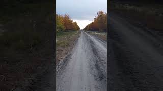 Dirt road  #explorealberta #travelalberta #gradient_imaging