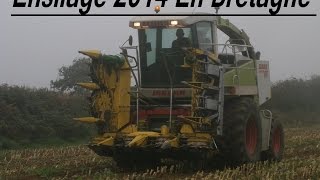 Ensilage 2014 #1 [244p]