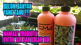 ♦️ MANFAAT EM4 PROBIOTIK UNTUK PERIKANAN ‼️ IKAN SEHAT DAN AIR JERNIH TANPA ADA BUSA ‼️