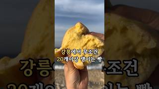 강릉에서 20개 이상 쟁이는 빵