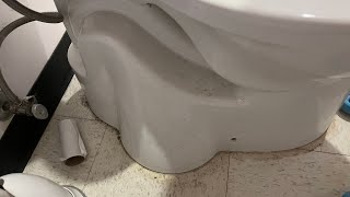 [321] YT First - 2014 American Standard Access Pro Toilet!