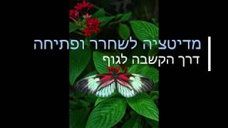 מדיטציה - לפתיחה דרך הקשבה לגוף - כל הזכויות שמורות לענבר בן יהודה סלע