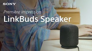 Découvrez l'enceinte Sony LinkBuds