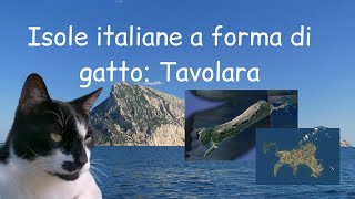 Isole italiane a forma di GATTO? Dopo Procida ecco Tavolara! 😸