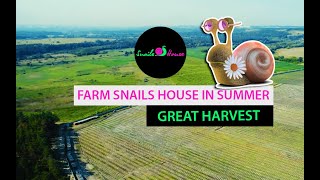 Snails-House Farm in August