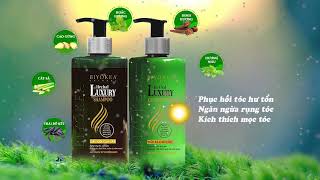 Dầu gội thảo dược, dầu gội bồ kết, dầu gội kích thích mọc tóc HERBAL LUXURY