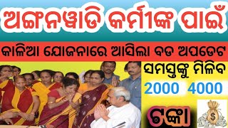 Kalia Yojana Big Update 19 September 2023 । Aganwadi Beneficiary In Kalia Yojana Scheme