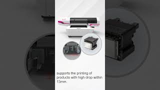 Toy Printing by Nocai uv printer NC-UV0609XIII