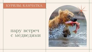 291. Как МЫ ВСТРЕТИЛИ МЕДВЕДЯ и пару интересных моментов из жизни мишек