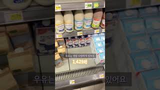 🇩🇪독일에서 장을 보면 얼마가 나올까? | 에데카(Edeka) 편