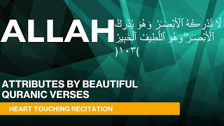 ATTRIBUTES  OF ALLAH BY "BEAUTIFUL QURANIC" VERSES RECITAIONS