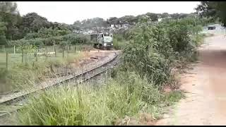 Trem vazio passando por formiga MG