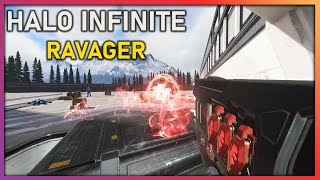 the RAVAGER is a KILLING machine (Halo Infinite) ☠️