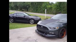 2004 mach 1 mustang vs. 3v s197 mustang