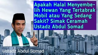 Hukum Menyembelih dan Memakan Hewan Yang Sakit Dan Sekarat Ustadz Abdul Somad | Ceramah Islam |