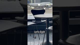 Mouse in Airport فار في المطار